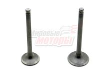 Клапаны (впуск/выпуск) 70-110см3 Delta, Zodiak (d-23/19,9 l-66,2/64,9)