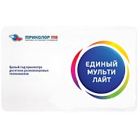 Карта условного доступа "ЕДИНЫЙ МУЛЬТИ ЛАЙТ" 1 год 